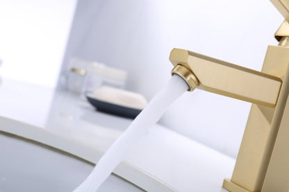 Modern Single Hole Faucet with Drain