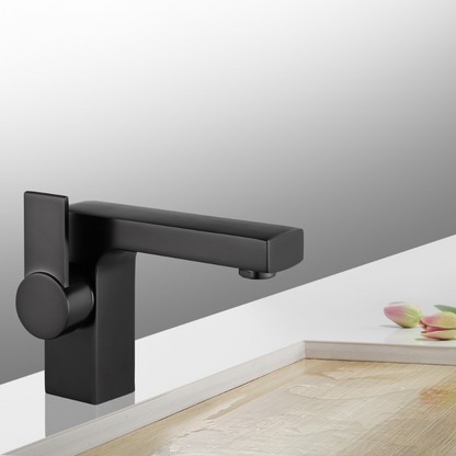 Modern Single Hole Faucet with Drain