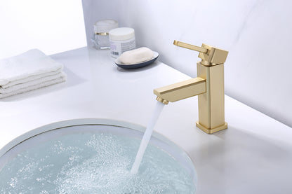 Modern Single Hole Faucet with Drain