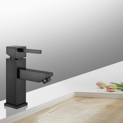 Modern Single Hole Faucet with Drain