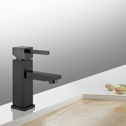 Modern Single Hole Faucet with Drain